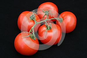Perfect Red Tomato Bunch