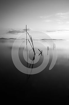 Perfect reflections on a lake, with clouds and hills reflecting on water, soft tones, and some wooden poles coming out