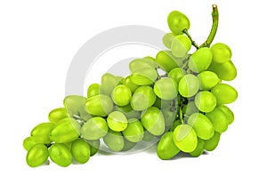 Perfect ripe organic white grape bunch on white background