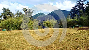 The perfect scenery of nature