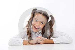 Perfect schoolgirl with tidy fancy hair. School hairstyle ultimate top list. Prepare kid first school day. Schoolgirl