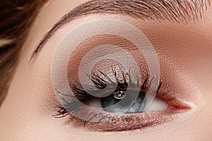 Perfect shape of eyebrows, brown eyeshadows and long eyelashes. Closeup macro shot of fashion smoky eyes visage