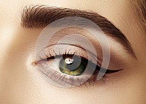 Perfect shape of eyebrows, brown eyeshadows and long eyelashes. Closeup macro shot of fashion smoky eyes visage