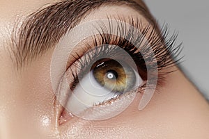 Perfect shape of eyebrows, brown eyeshadows and long eyelashes. Closeup macro shot of fashion smoky eyes visage photo