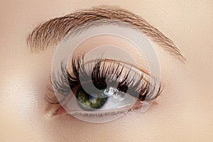 Perfect shape of eyebrows, brown eyeshadows and long eyelashes. Closeup macro shot of fashion smoky eyes visage photo