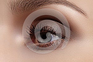 Perfect shape of eyebrows, brown eyeshadows and long eyelashes. Closeup macro shot of fashion smoky eyes visage