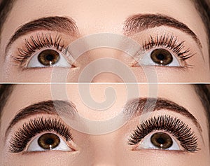 Perfect shape of eyebrows and extremly long eyelashes. Macro shot of fashion eyes visage. Before and after