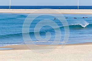 Perfect small wave in Baleal