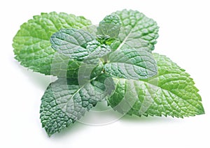 Perfect spearmint or mint isolated on white background