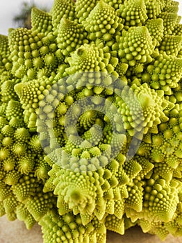 Perfect spiral, broccoli romanesco