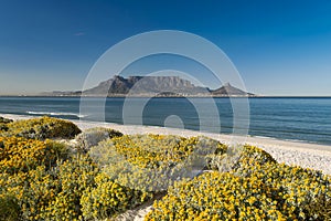 A perfect Summer day in Cape Town