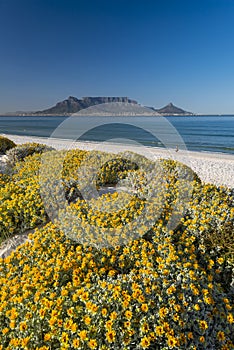 A perfect Summer day in Cape Town