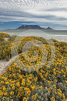 A perfect Summer day in Cape Town