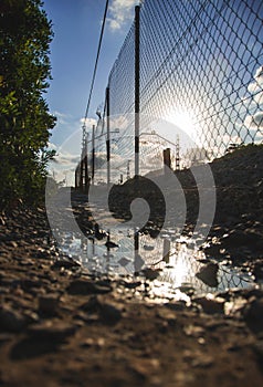 The perfect summer sun reflection