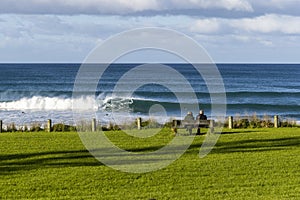 Perfect Surf, Coromandel, NZ