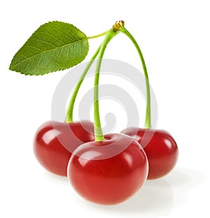Perfect sweet cherries with the leaf isolated on a white background