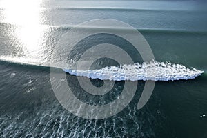 Perfect Swell lines