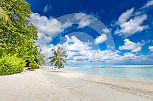 Perfect tranquil beach scene, soft sunlight and white sand and blue endless sea as tropical landscape