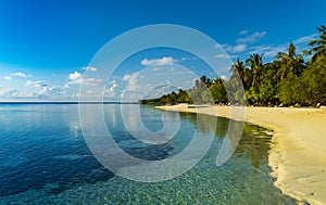 Perfect tropical island Maldives paradise beach Beautiful tropical beach