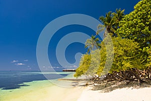 Perfect tropical island Maldives paradise beach Beautiful tropical beach