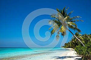 Perfect tropical island paradise beach and old boat