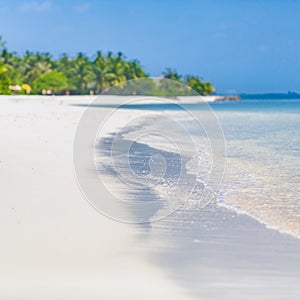 Wonderful beach scene, soft waves, palm trees blue sea view on blurred background photo