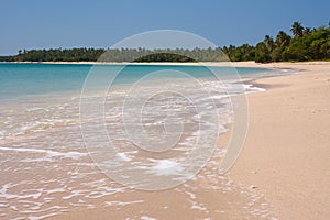 A perfect vacation image of a beach and palm trees in tropical Tonga