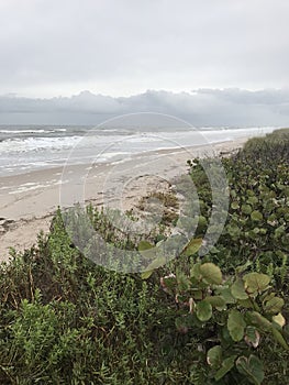 Perfect view of misty Canaveral National Seashore in Florida