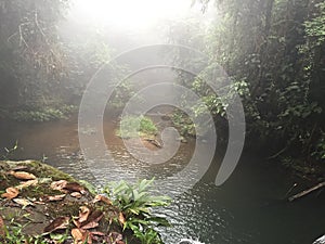 Perfect view of a small creek in the rainforest, some fog appearing in the afternoon. photo