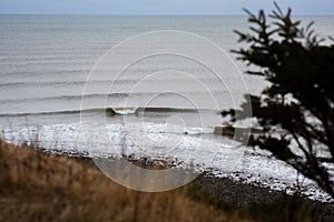 Perfect wave on a sunny day