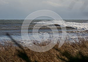 Perfect wave on a sunny day