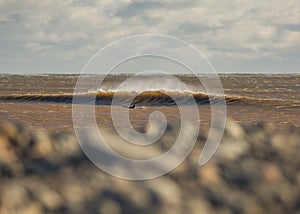 Perfect wave on a sunny day with foreground background bohkeh