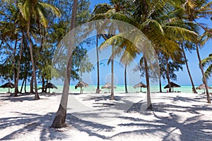 Perfect white sand beach with palm trees, Paje, Zanzibar, Tanzania photo
