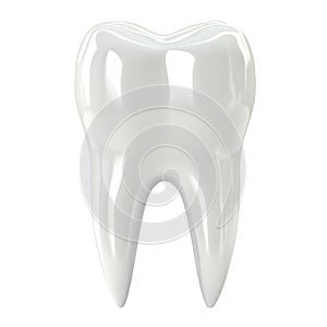 Perfect White Tooth: 3D Render of a Single Human Molar