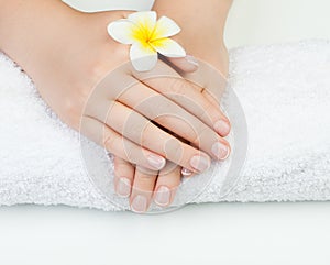 Perfect woman hand on white background with tropical flower