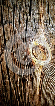 Wooden background