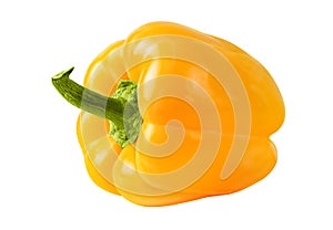 A perfect yellow bellpepper isolated on white photo