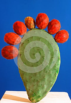 Perfection of nature