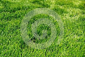 Perfectly cut fresh green spring lawn closeup background