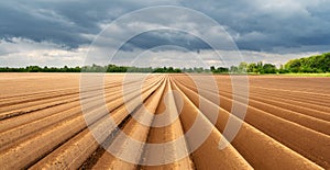 Perfectly even rows of plowed land on an agricultural field photo