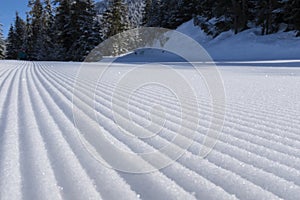 Perfectly groomed cross country ski trail