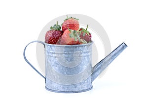 Perfectly retouched fresh strawberry fruit in silver colored watering can on white background
