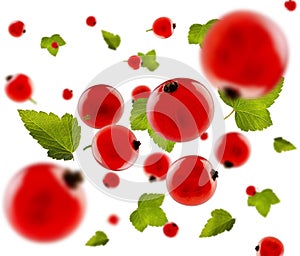 Perfectly retouched red currant with leaves flies and levitates in space. Isolated on white