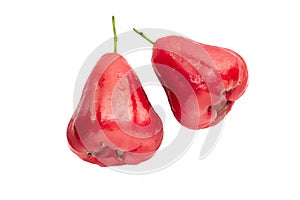 Perfectly retouched Rose apple fruit isolated on white background