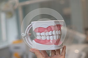 Perfectly straight teeth. Jaw model, close up. Braces on the teeth.teeth model dentures, Stomatology appointment.dental