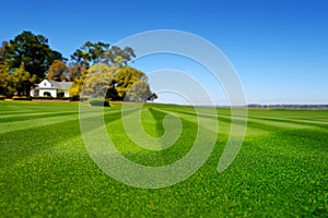 Perfectly striped freshly mowed garden lawn photo