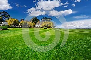 Perfectly striped freshly mowed garden lawn in summer