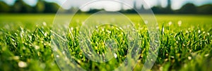 perfectly trimmed grass on the soccer field, highlighting its smooth texture and uniformity. Generative AI