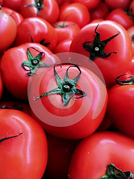 Perfecto fresh tomato photo