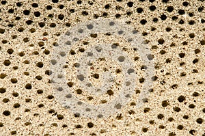 perforations in the concrete wall of the old temple. unusual surface texture with holes. Close-up. Work of the perforator